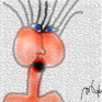 MlleMouth.png