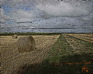 paysage_2_2.png
